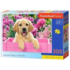Dėlionė Labrador Puppy in Pink Box, 300 detalių kaina ir informacija | Dėlionės (puzzle) | pigu.lt