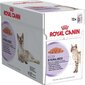 Royal Canin konservai suaugusioms sterilizuotoms katėms Fhn Wet, 12 vnt. kaina ir informacija | Konservai katėms | pigu.lt