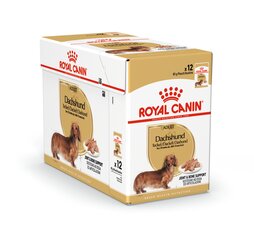 Royal Canin Dachshund suaugusiems šunims, 12x85g kaina ir informacija | Konservai šunims | pigu.lt