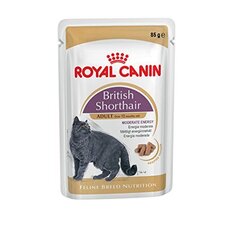 Royal Canin konservai British Shorthair, 85 g kaina ir informacija | Konservai katėms | pigu.lt