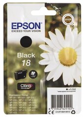 Epson 18 BK Ink cartridge, Black цена и информация | Картриджи для струйных принтеров | pigu.lt