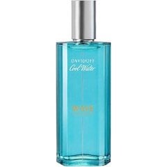 Туалетная вода Davidoff Cool Water Wave EDT для мужчин 40 мл цена и информация | Мужские духи | pigu.lt