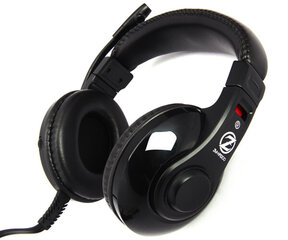 Zalman ZM-HPS200 цена и информация | Теплая повязка на уши, черная | pigu.lt