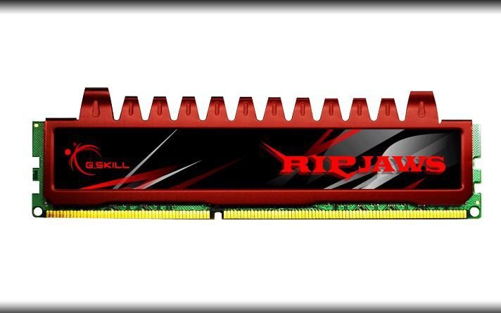 G.Skill DDR3 4GB (4GBx1) 1600MHz, CL9, Ripjaws (F3-12800CL9S-4GBRL) kaina ir informacija | Operatyvioji atmintis (RAM) | pigu.lt