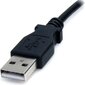 StarTech USB2TYPEM цена и информация | Laidai telefonams | pigu.lt