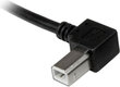 Startech USBAB3ML kaina ir informacija | Adapteriai, USB šakotuvai | pigu.lt