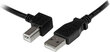 Startech USBAB3ML kaina ir informacija | Adapteriai, USB šakotuvai | pigu.lt