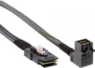InLine, SFF 8087 - SFF 8643, 1 m цена и информация | Кабели и провода | pigu.lt