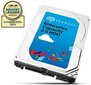 Seagate Enterprise Capacity 2.5" 1TB (ST1000NX0313) kaina ir informacija | Vidiniai kietieji diskai (HDD, SSD, Hybrid) | pigu.lt