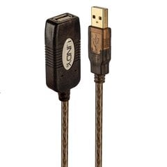 CABLE USB2 EXTENSION 20M/42631 LINDY цена и информация | Кабели для телефонов | pigu.lt