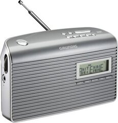 Grundig GRR3200 цена и информация | Радиоприемники и будильники | pigu.lt