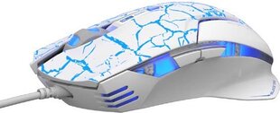 E-Blue EMS600, белый цена и информация | Мыши | pigu.lt
