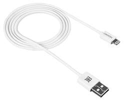 Canyon Lightning Apple USB, 1m kaina ir informacija | Laidai telefonams | pigu.lt