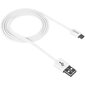 Canyon CNE-USBM1B, USB 2.0 / micro USB, 1 m, baltas kaina ir informacija | Laidai telefonams | pigu.lt