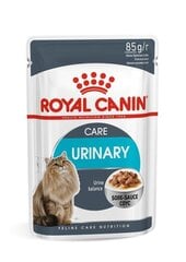 Royal Canin Fcn Wet 85 г x 12 Urinary Care In Gravy для кошек цена и информация | Консервы для кошек | pigu.lt