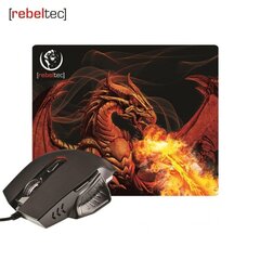 Rebeltec Red Dragon, черный цена и информация | Мыши | pigu.lt