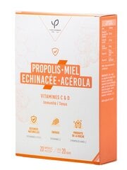 Maisto papildas Propolis su rausvažiede ežiuole, acerola, vitaminais C ir D, 20 ampulių kaina ir informacija | Vitaminai, maisto papildai, preparatai imunitetui | pigu.lt