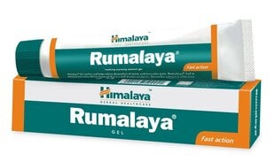 Gelis Himalaya Rumalaya, 30 g kaina ir informacija | Kūno kremai, losjonai | pigu.lt