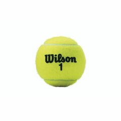 Teniso kamuoliukai Wilson, geltoni kaina ir informacija | Wilson Sportas, laisvalaikis, turizmas | pigu.lt