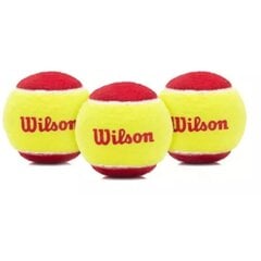 Теннисные мячи Wilson Starter easy balls 3-p цена и информация | Wilson Спорт, досуг, туризм | pigu.lt