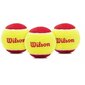 Lauko teniso kamuoliukai Wilson Starter easy, 3 vnt. kaina ir informacija | Lauko teniso prekės | pigu.lt