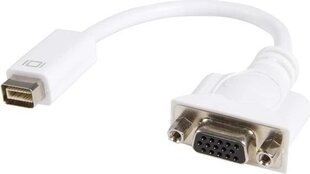 StarTech Mini DVI/VGA, 0.2 м цена и информация | Кабели и провода | pigu.lt