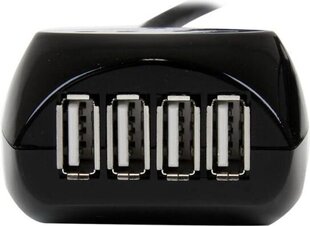 StarTech USB2EXT4P15M kaina ir informacija | Adapteriai, USB šakotuvai | pigu.lt