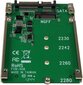 StarTech M.2 SSD to 2.5in SATA Adapter Converter (SAT32M225) цена и информация | Komponentų priedai | pigu.lt