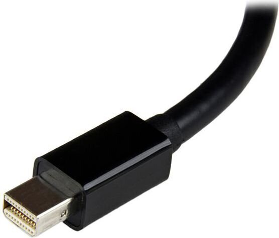 Adapteris StarTech MDP2DVI3, DisplayPort Mini - DVI-I kaina ir informacija | Adapteriai, USB šakotuvai | pigu.lt