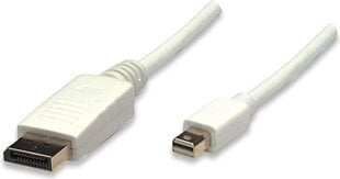 Кабель источников Techly Mini-DisplayPort к DisplayPort M/M 1M белый цена и информация | Кабели и провода | pigu.lt
