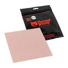 Thermal Grizzly Minus Pad 8 100 x 100 x 2 mm (TG-MP8-100-100-20-1R) kaina ir informacija | Komponentų priedai | pigu.lt