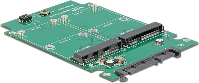 Delock Adapter 2x mSATA + Raid to SATA 22Pin, 2.5" (62594) цена и информация | Komponentų priedai | pigu.lt