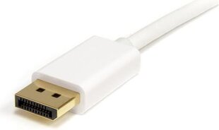 StarTech, DisplayPort Mini - DisplayPort, 2м цена и информация | Кабели и провода | pigu.lt