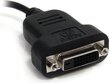 StarTech MDP2DVIS, DisplayPort Mini - DVI-D kaina ir informacija | Adapteriai, USB šakotuvai | pigu.lt