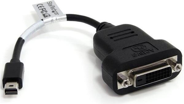 StarTech MDP2DVIS, DisplayPort Mini - DVI-D цена и информация | Adapteriai, USB šakotuvai | pigu.lt