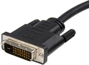 StarTech DP2DVIMM6 цена и информация | Кабели и провода | pigu.lt