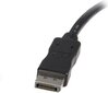 StarTech, DP2DVIMM10 DisplayPort - DVI-D, 3 m цена и информация | Kabeliai ir laidai | pigu.lt