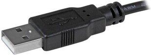 StarTech MSTDP122DP adapteris kaina ir informacija | Adapteriai, USB šakotuvai | pigu.lt