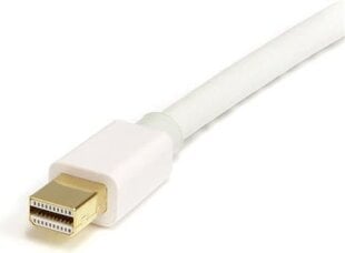 StarTech, DisplayPort Mini - DisplayPort, 1 м цена и информация | Кабели и провода | pigu.lt
