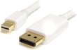 StarTech, DisplayPort Mini - DisplayPort, 1 m цена и информация | Kabeliai ir laidai | pigu.lt