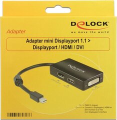 Delock 62623 цена и информация | Адаптеры, USB-разветвители | pigu.lt