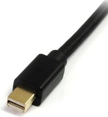 StarTech, DisplayPort Mini - DisplayPort, 3 м цена и информация | Кабели и провода | pigu.lt