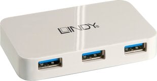 Lindy 43143 цена и информация | Адаптеры, USB-разветвители | pigu.lt