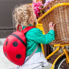 Vaikiška kuprinė LittleLife Kids Ladybird, 6 l, raudona kaina ir informacija | Kuprinės mokyklai, sportiniai maišeliai | pigu.lt