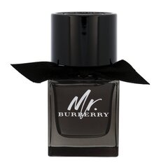 Kvapusis vanduo Burberry Mr. Burberry EDP vyrams 50 ml kaina ir informacija | Burberry Kvepalai | pigu.lt