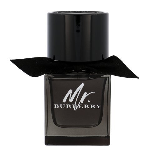 Kvapusis vanduo Burberry Mr. Burberry EDP vyrams 50 ml цена и информация | Kvepalai vyrams | pigu.lt