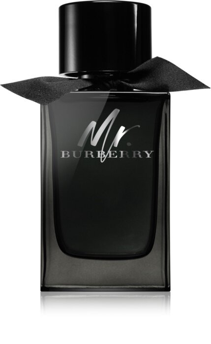 Kvapusis vanduo Burberry Mr. Burberry EDP vyrams 150 ml цена и информация | Kvepalai vyrams | pigu.lt