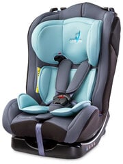 Caretero автомобильное кресло Combo, мятный цвет цена и информация | Автокресла | pigu.lt