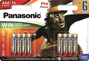 Panasonic battery LR03PPG/16B 10+6pcs цена и информация | Батарейки | pigu.lt