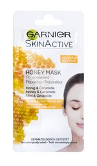 Atkuriamoji kaukė sausai veido odai Garnier Skin Active Honey 8 ml kaina ir informacija | Veido kaukės, paakių kaukės | pigu.lt